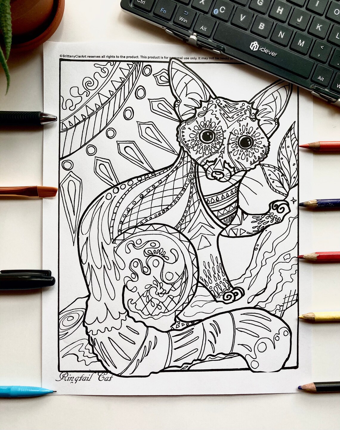 1 Printable Ringtail Cat Adult Coloring Page Instant Digital | Etsy