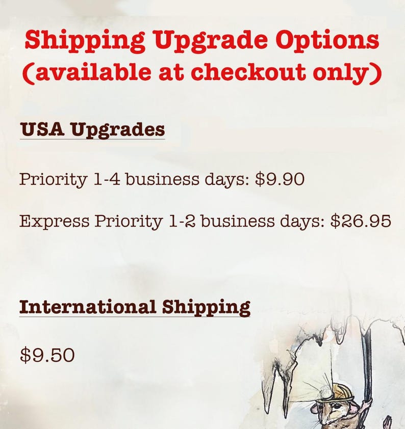 May include: Text on a cream-colored background reads "Shipping Upgrade Options (available at checkout only)". Below, it lists "USA Upgrades" with options for priority and express shipping. "International Shipping" is also listed.