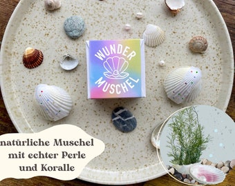 Wonder shell with real pearl and seaweed, party favor for children's birthdays, experiment for children, magic shell, surprise shell, Easter nest