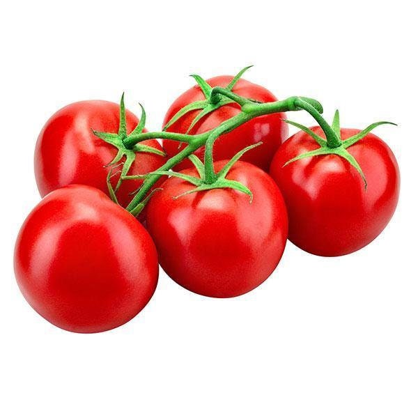 Tomato Kitchen Mini Red Siam x5 or x1 Live Plant Plugs Grow Your Own Garden