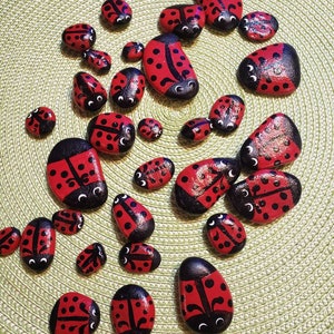 Ladybug Painted Rocks set of 5 Rock Art - Etsy