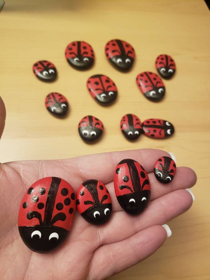 Hand Painted Ladybug Rock's (set of 5) Kindness Rocks - Etsy