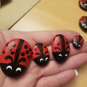 May include: Four painted ladybugs of different sizes, with black spots and wings, and white eyes. The ladybugs are painted on smooth, round stones.