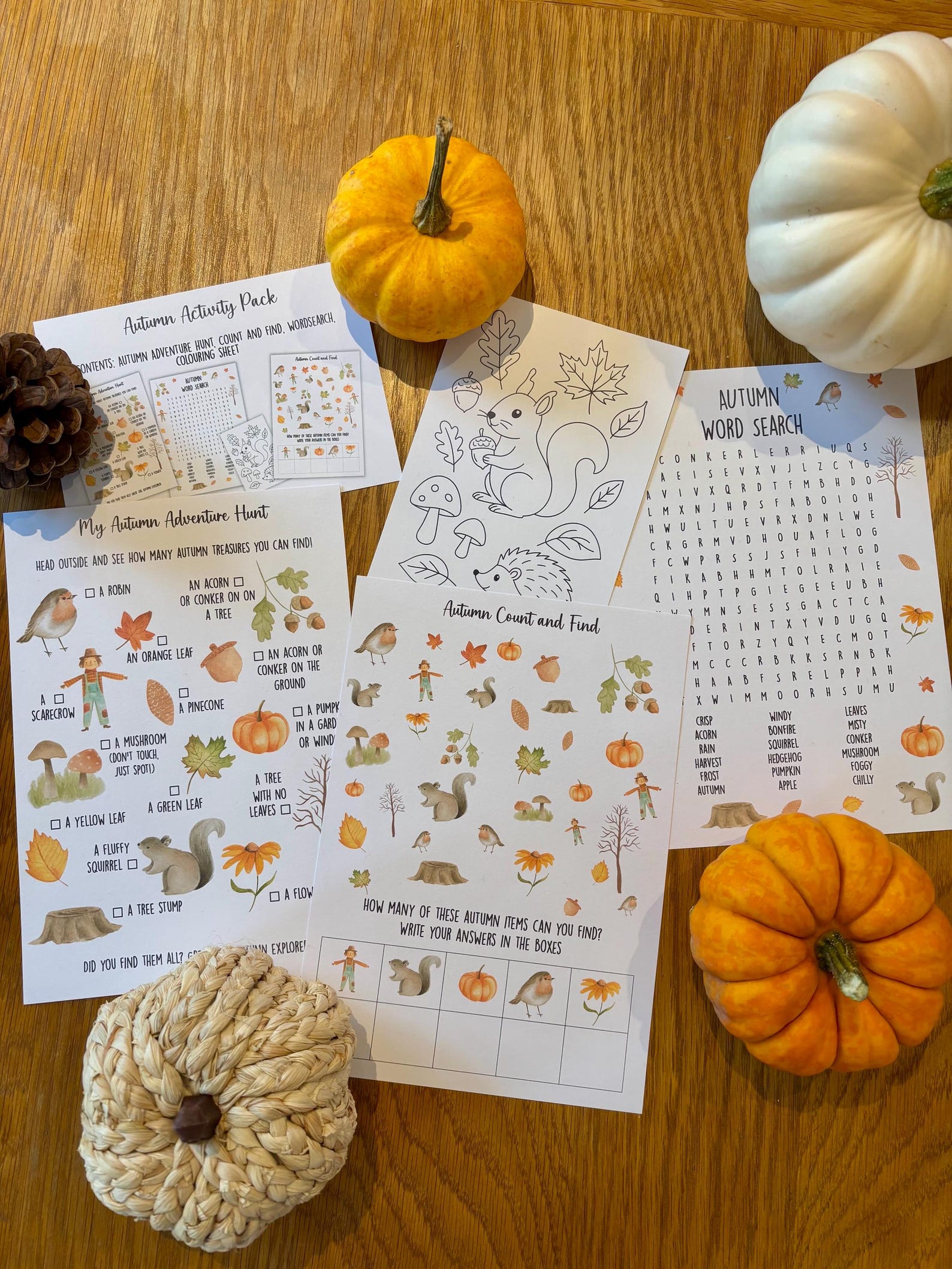 Printed Autumn Activity Pack Printed Autumn Activity Pack