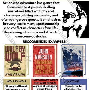 Set of 8 English/English Literature Classroom Posters 8 Reading Genres (Fiction) Books