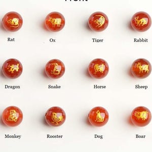 May include: Twelve red, round beads with gold zodiac animal designs. Each bead features a different animal: Rat, Ox, Tiger, Rabbit, Dragon, Snake, Horse, Sheep, Monkey, Rooster, Dog, and Boar. The word "Front" is at the top.