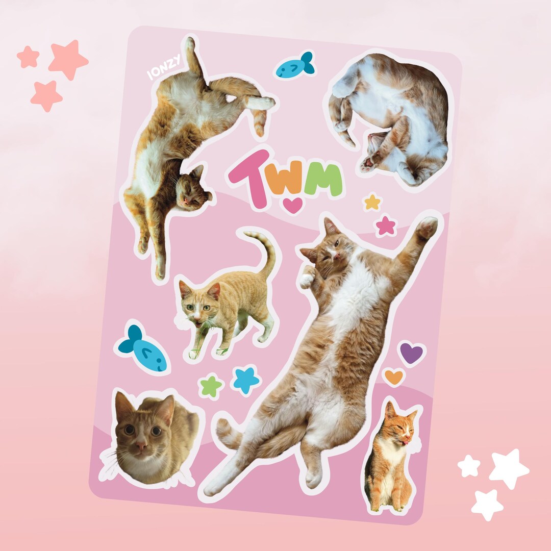 Twm Sticker Twm the Orange Cat A6 Sticker Sheet | Ionzy's Studio - Etsy