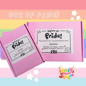 Puede incluir: Dos cajas rectangulares de cartón rosa con etiquetas blancas y texto en negro. La caja pequeña está etiquetada como 'lil box of Pride!' y la grande como 'big box of Pride!', enumerando artículos como llaveros, pines, insignias y pegatinas.
