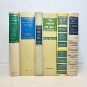 Decorative Lot of 6 Hardcover Books, Literary Classics Stack of Literature Novels & Short Stories