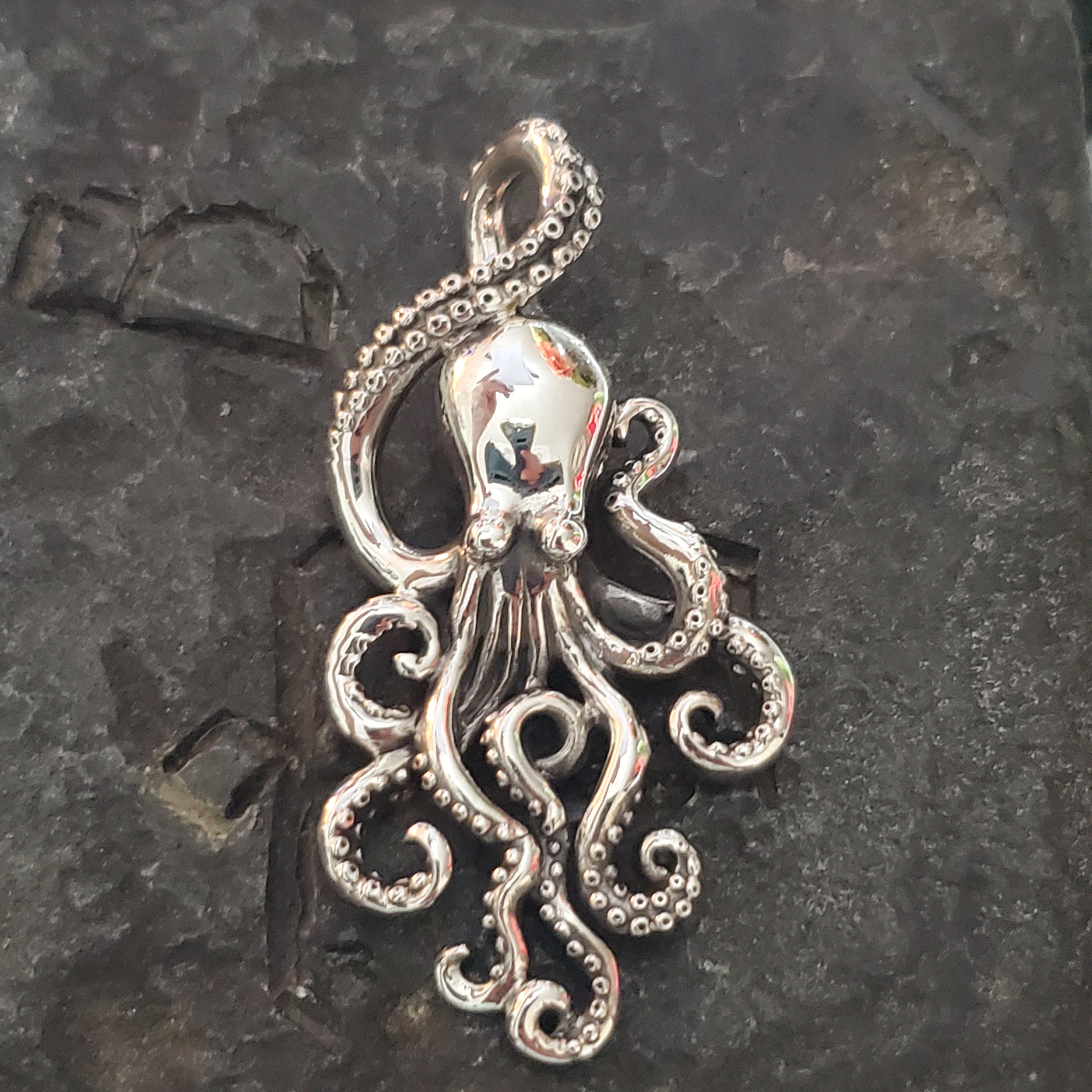 Silver Octopus 