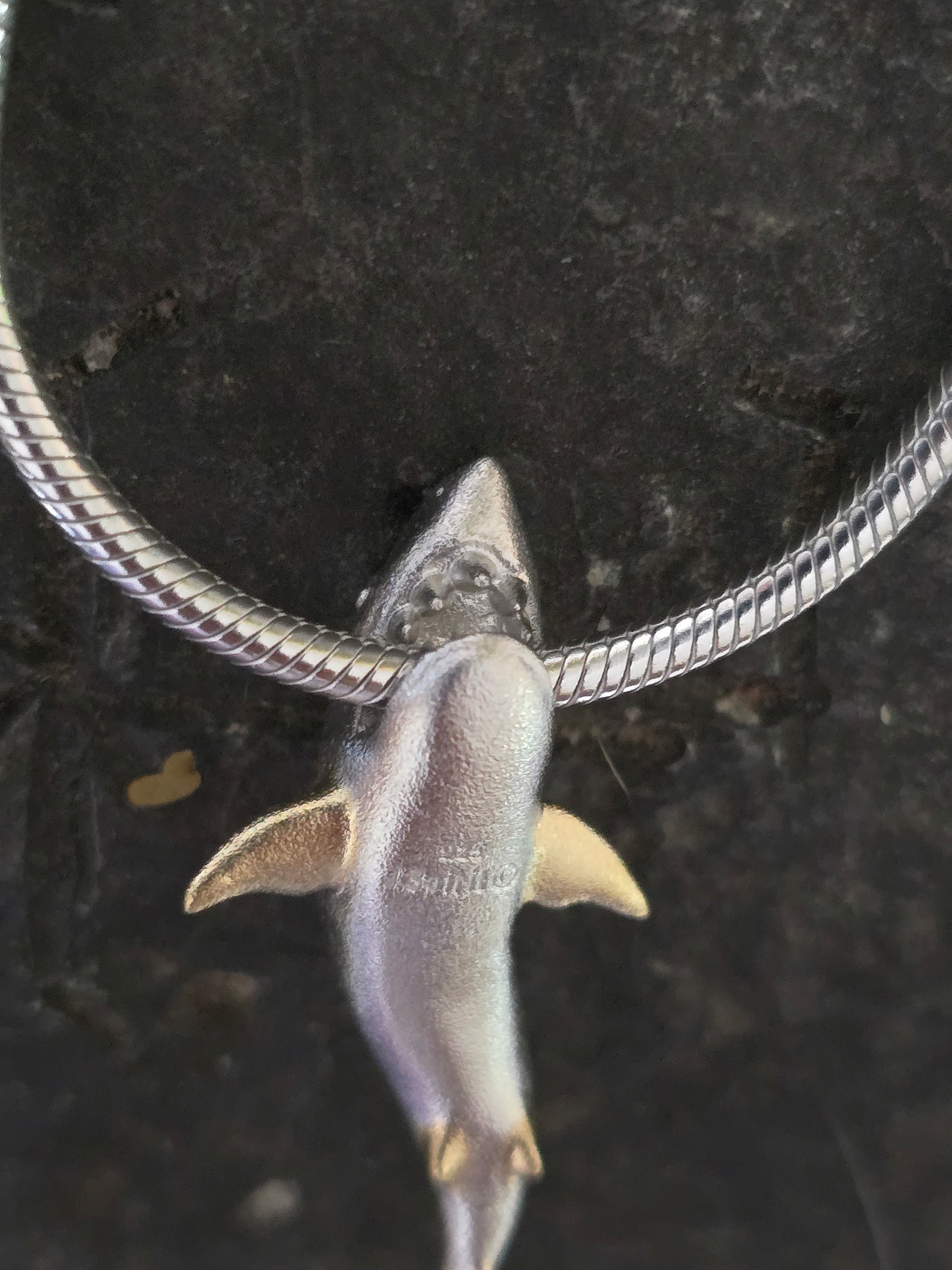 Sterling Silver Shark Biting Chain Necklace - Etsy