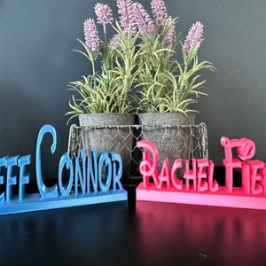 May include: Two personalised name signs, one blue and one pink. The blue sign says "Jeff Connor" and the pink sign says "Rachel Fie". The signs are sitting on a black surface in front of a potted plant with purple flowers.