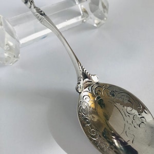 Silver spoon