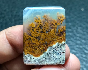 Può includere: Una pietra di agata lucidata con uno sfondo bianco e un motivo dendritico marrone e arancione.