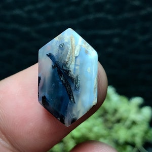 Peut inclure: Une pierre précieuse d'agate hexagonale translucide, bleue et blanche avec des motifs dendritiques noirs et blancs.