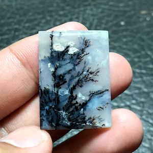 May include: A rectangular, polished agate cabochon with a dendritic pattern. The agate is white with black and gray dendrites, resembling a tree or fern.