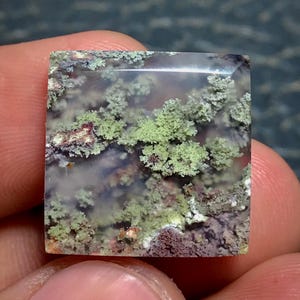 May include: A square-cut dendritic agate gemstone featuring a translucent, cloudy base with intricate, moss-like inclusions in shades of light green, dark green, and deep reddish-brown, creating a complex, branching pattern throughout the stone.