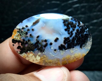 Petrified Palm Wood Agate Cabochon, Fossil Gemstone (38x25x4 mm)