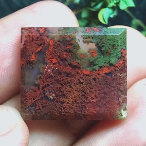 May include: A square-cut moss agate gemstone featuring a translucent base with intricate, branching inclusions in deep shades of rust red, burnt orange, and forest green, creating a dense, organic pattern throughout the polished stone surface.