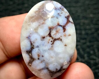 Pode incluir: Gema oval com uma base branca e padrões intrincados em castanho e azul claro. A pedra tem uma superfície polida e brilhante, e o design assemelha-se a uma estrutura floral ou coralina. A gema é segurada numa mão.