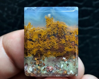 Cabochon di agata muschiata naturale: pietra preziosa indonesiana panoramica (27x22x5 mm)