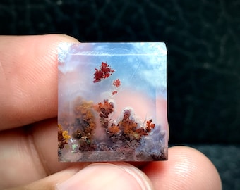 May include: A square-cut gemstone with a landscape-like pattern. The stone features a translucent base with reddish-brown and yellow inclusions resembling trees and foliage. The colors blend with a soft, cloudy background, creating a miniature natural scene.