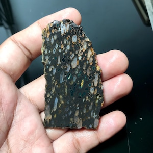May include: A close-up of a dark grey, black, and green rock with white and orange inclusions. The rock has a rough, uneven surface.