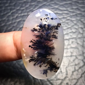 May include: A white agate cabochon with dendritic inclusions in shades of black and gray. The dendritic patterns resemble branches or trees.
