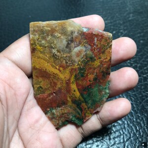 Multicolor Coral Fossil Slab 71x51x4 mm – Unpolished Natural Fossilized Coral from Indonesia for Lapidary, Jewelry Making, or Display