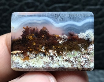 Scenic Moss Agate Cabochon, Indonesian Stone (31x23x4 mm)
