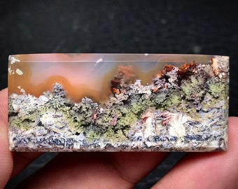 May include: A polished agate slab featuring a landscape scene with a variety of colours, including brown, green, white, and orange. The agate has a layered, textured surface.