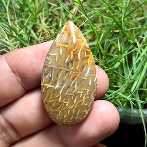 Petrified Palm wood Cabochon 43x22x6 mm, By Cabochonsforyou