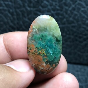 Rare Agatized Coral Fossil Cabochon 18x31x6,5 mm