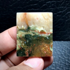 Multicolor Coral Fossil Agate Cabochon 38x31x4 mm, Gifts For Her, Gifts For Him, Fossil Coral, Halloween Gifts, Birthday Gifts, Rare Stone