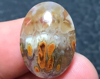 Pode incluir: Uma pedra preciosa oval com um padrão único de tons laranja, branco e castanho. A superfície polida reflete a luz, destacando as intrincadas estruturas internas. O design da pedra assemelha-se a uma paisagem ou arte abstrata.
