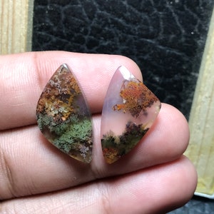 Peut inclure: Deux cabochons d'agate avec un motif dendritique rose, vert et brun. Les cabochons sont taillés en forme de goutte.