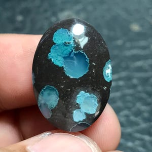 May include: An oval-shaped cabochon gemstone featuring a polished black matrix base with distinct, vibrant turquoise-blue circular inclusions scattered across the surface. The stone has a smooth, reflective finish with a high-gloss luster.