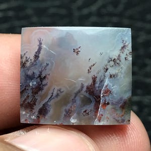 May include: Square-cut gemstone with a dendritic pattern. The stone features a cloudy, light background with dark brown and reddish-brown fern-like inclusions. The overall effect resembles a miniature landscape.