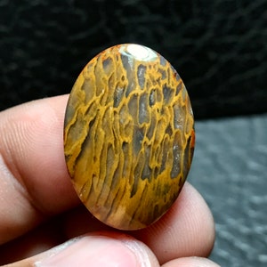 May include: A close-up of a polished oval-shaped gemstone with a unique pattern of brown, yellow, and white swirls. The stone has a translucent quality and appears to be a fossilized piece of petrified wood.