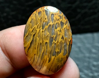 May include: A close-up of a polished oval-shaped gemstone with a unique pattern of brown, yellow, and white swirls. The stone has a translucent quality and appears to be a fossilized piece of petrified wood.