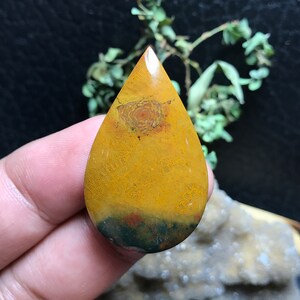 Beautiful Coral Fossil Agate 24x39x6,5 mm, Beautiful Gifts, Gifts For Her, Birthday Gifts, Jewelry For Necklace, Crystals Collector