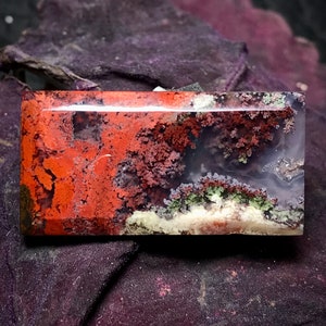 Könnte beinhalten: Eine rechteckige Agatscheibe mit einem dendritischen Muster. Der Achat ist eine Mischung aus roten, orangen, weißen, grünen und grauen Farben.