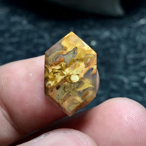 Petrified Palm wood Cabochon 18x11x4 mm, Hexagon Shaped, By Cabochonsforyou.com