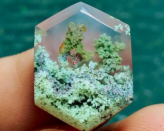 Scenic Moss Agate Cabochon 18x14x5 mm