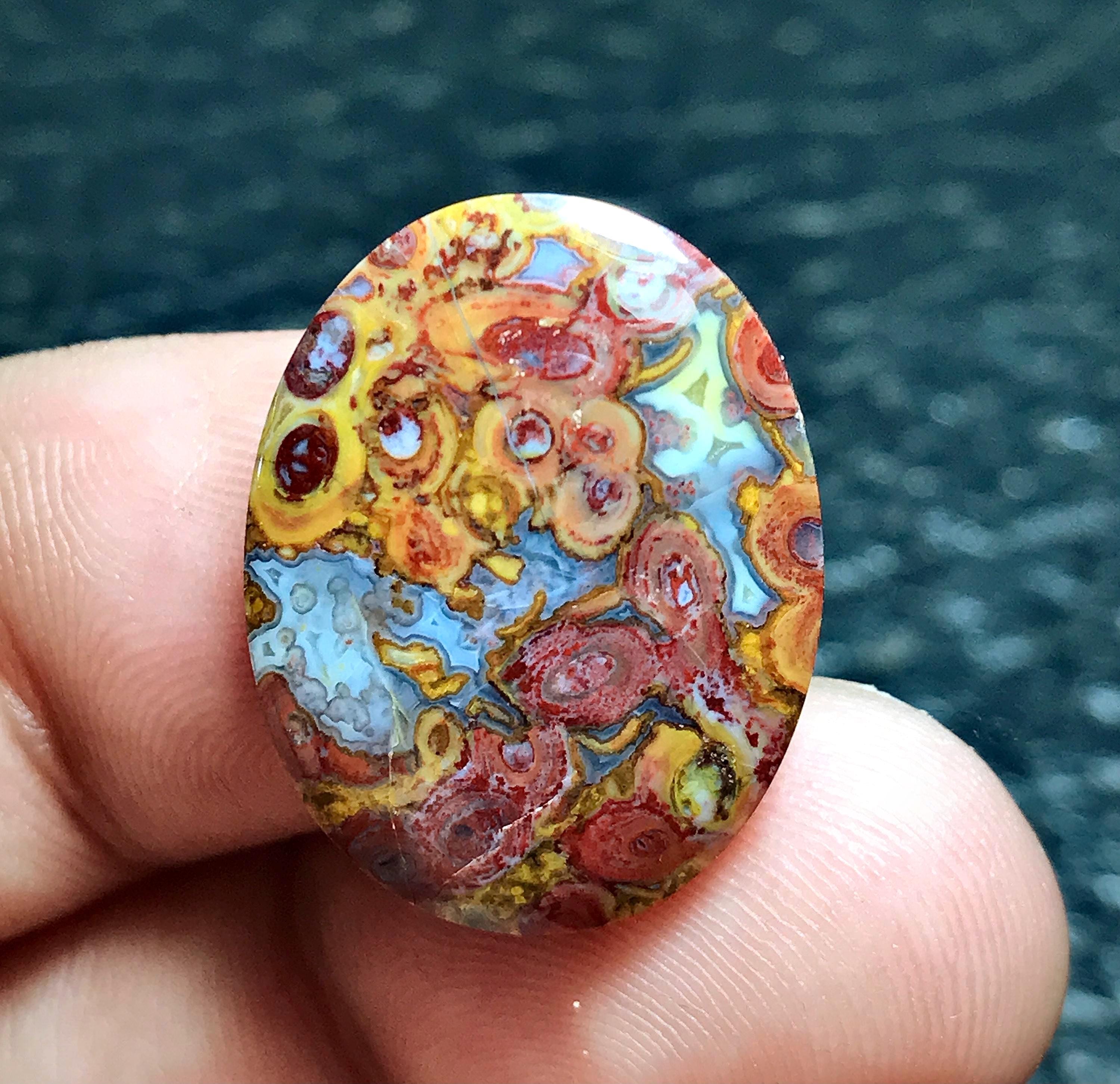 Petrified Palm Root Wood Cabochon, Indonesian Gemstone (22x17x4 Mm