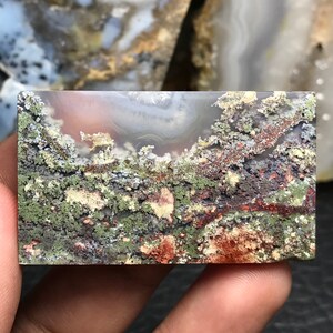 May include: A polished agate slab with a unique, layered pattern of green, brown, and white. The agate has a natural, organic look, with a variety of textures and colors.