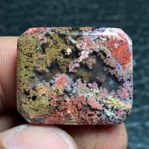 May include: A rectangular polished gemstone featuring a translucent base with intricate, moss-like dendritic inclusions in vibrant shades of red, orange, yellow, and olive green, creating a complex, multi-colored pattern across the stone surface.