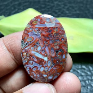 Petrified Palm Root Wood Cabochon 35x25x6 mm
