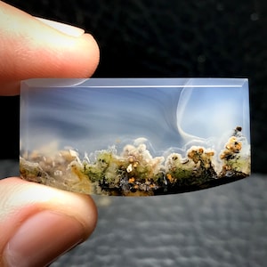 Peut inclure: Une tranche d'agate polie avec un fond bleu et blanc nuageux et un paysage de dendrites brunes, vertes et blanches en bas.