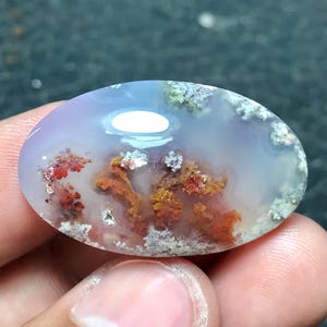May include: An oval-shaped, polished dendritic agate gemstone featuring a translucent, pale lavender and white base. The stone contains intricate, branching inclusions in vibrant shades of orange, rust-red, and muted grey, resembling mossy patterns.